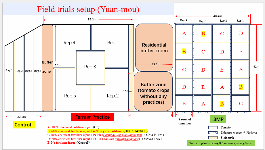 Experimental Design
