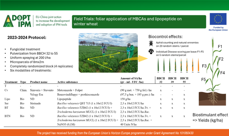 Field trials: 2023-2024 Protocol